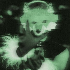 Ʀᴀɴɢᴇʀғøx - ɪɴɴᴇʀ ɪɴsᴛɪɴᴄᴛ