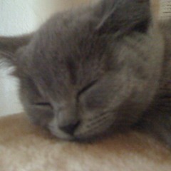 Deep & Progressive Sound - Deep Emotion, Vocals and Beats - mixed by Bitter Aug. 2015