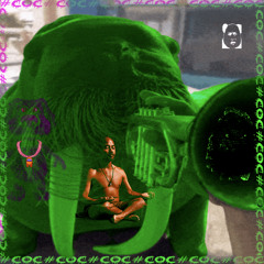Walrus (feat. Prince Mercury, Rodrick)