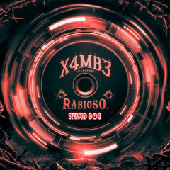 X4MB3 VS RABIOSO - Stupid Dog (Original Mix)