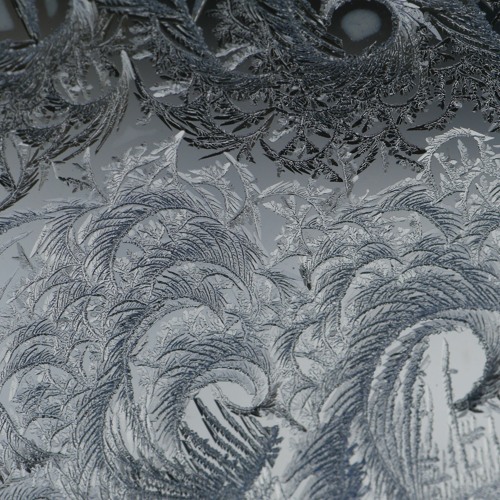 The Script feat. Nanobody