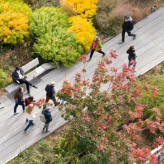 High Line Guided Meditation: A Mindful Walk