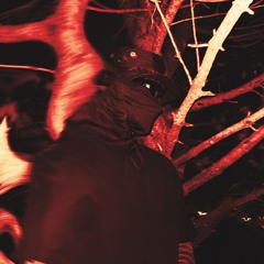 POZED — 180 DRIVE