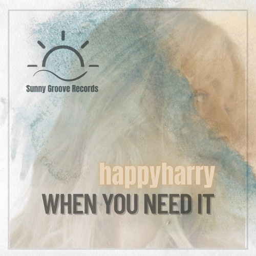 happyharry - When you need it (Original Mix) [Sunny Groove Records 01]