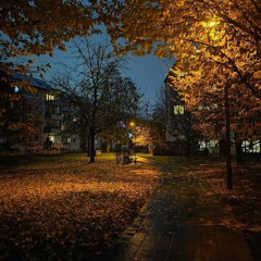 Autumn 2