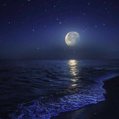 fly me to the moon