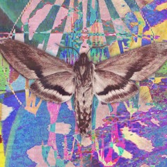crysalis - decipicrate prod me