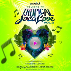 Tropical Soca Love Vol.2 - DJ Lovaboi