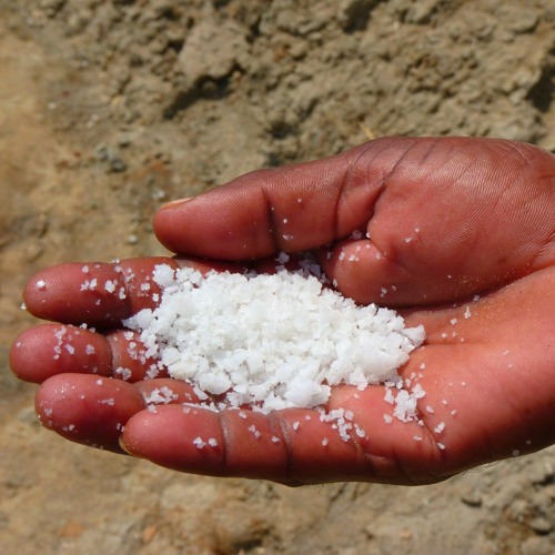 May 2020 WATERritual: You are the Salt of the Earth