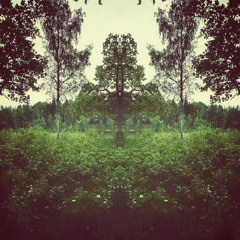 Bad Trip