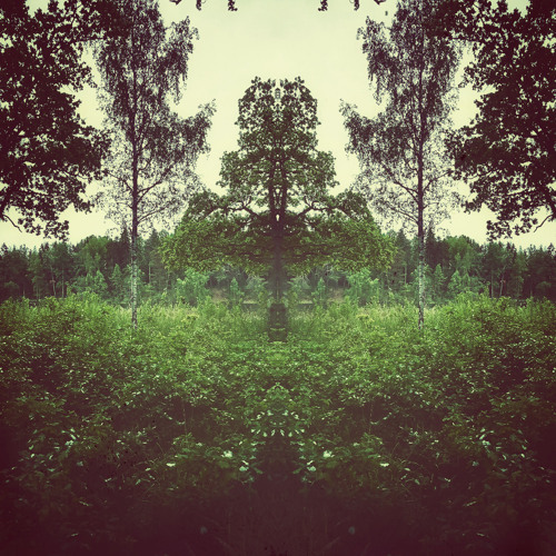 Bad Trip