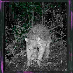 Critic (feat. ithurtstowalk)