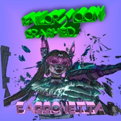 SAILOR_MOON_CRASHED.exe