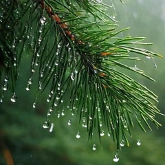 Bace ploaia drept în mine