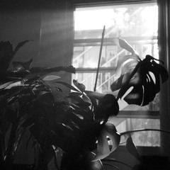 UHLEXX - had to say goodbye