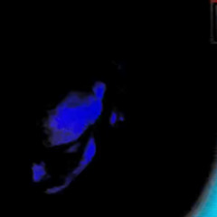 My Uncle Works At Nintendo