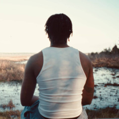 STICKS N STONES (DOU ZANFAN)