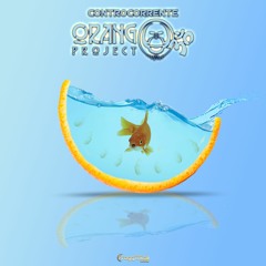 OrangoOmProject - Controcorrente