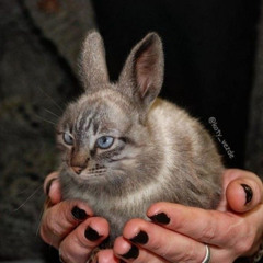 ВечеринкаЭкстази (#damnbihsuperhot) (p.me)