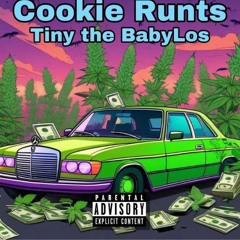 Tinythebabylos x cookie runts  (official audio)