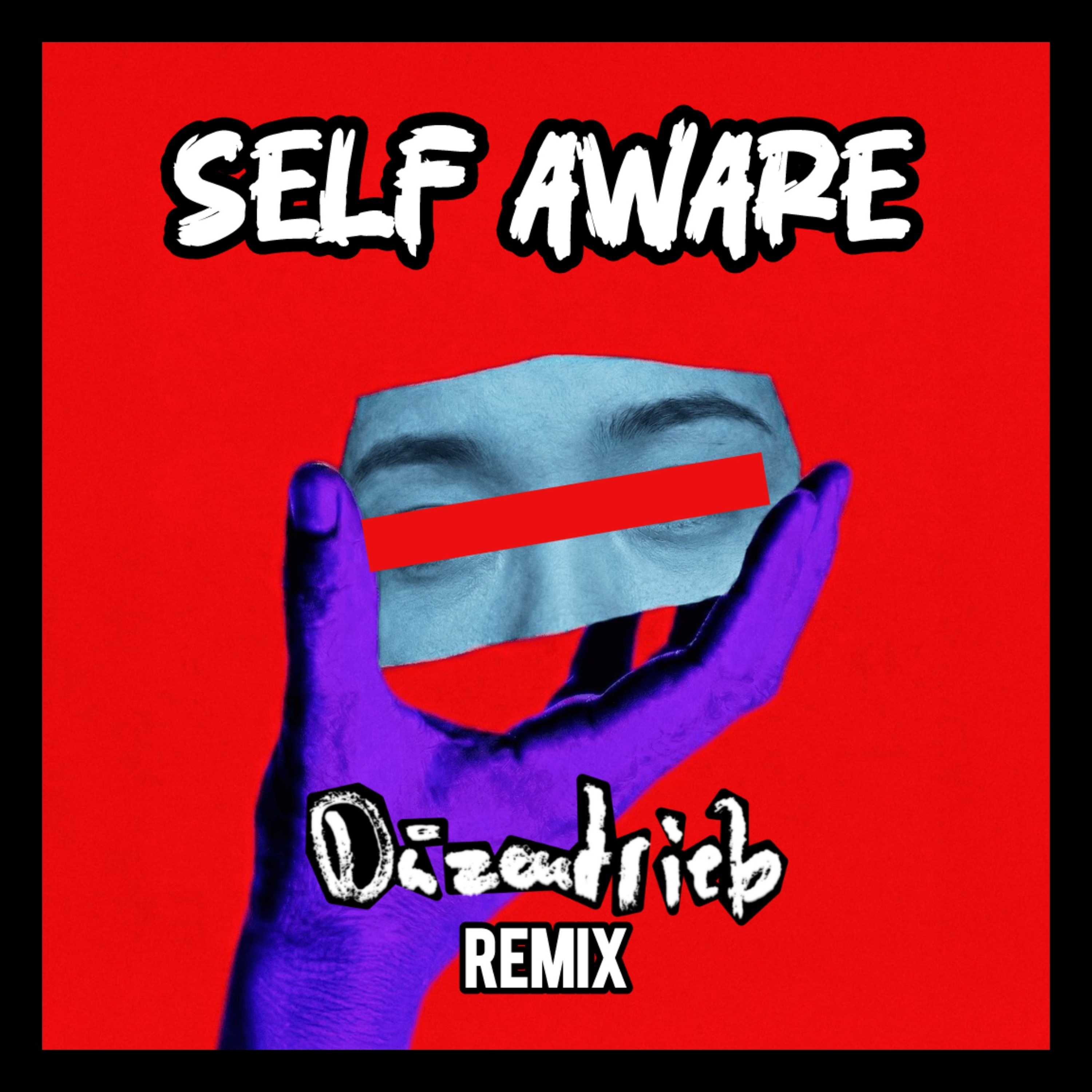 Self Aware [Düzentrieb Remix] episode artwork