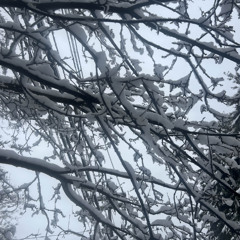 im wrong / close to me       nyli  [aghast]