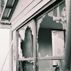 big mikes cut (dijon cover)