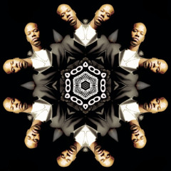 Shake That Monkey Parcae Remix