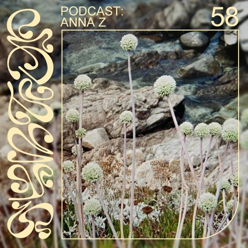Syntop Audio 58 – ANNA Z