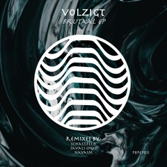 PREMIERE: Volzigt - Vlerk (Schallfeld Remix) [PBP Records]