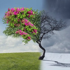 لا تموت في موسم قديم - الجمعة صباحاً