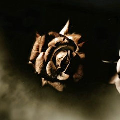 Lc Feat TJ - Ambition