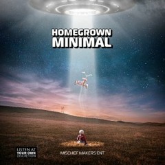 HOMEGROWN MINIMAL 9.0 - Rich Morgan Mix