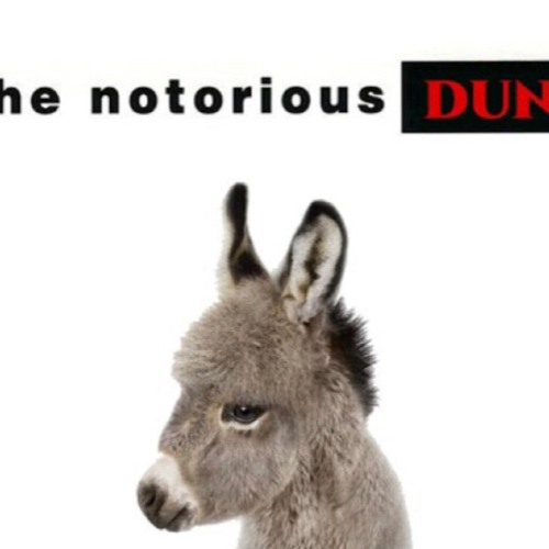 More Dunkey More Problems