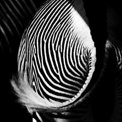 Contraversion