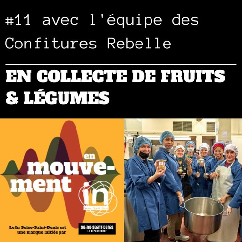 Episode 11: en collecte de fruits avec l'équipe des Confitures Rebelle