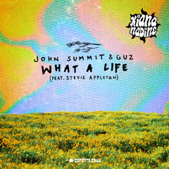 john summit - what a life (kiana nadine speed garage edit) (end silence to avoid c0pyr1ght)