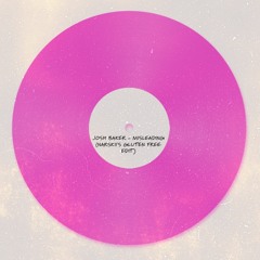 Josh Baker - Misleading (Narskii's Gluten Free Edit)