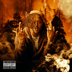 STARTED YRB_LAWLESS 'YUNG RICH BANDIT"