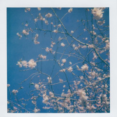 From the Blue so to the Earth