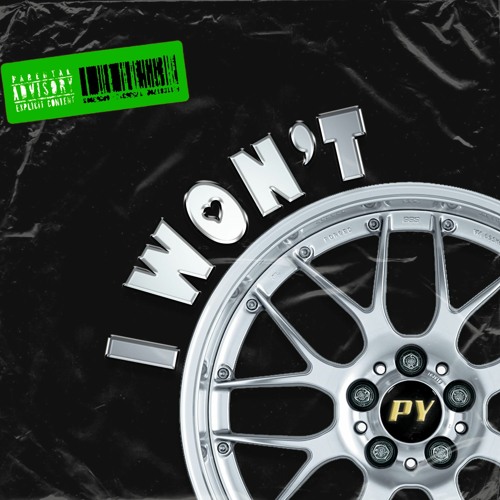 i won't (prod. no1elsebutrico)