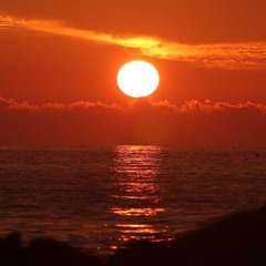 Shin(신) - 水平線(수평선)