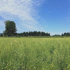 Wapato Island Farm - A soundwalk on Sauvie Island by Gerardo Calderon