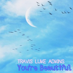 You're Beautiful
