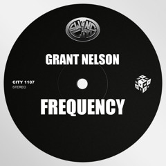 Grant Nelson - Frequenzy (Sascha Dive`s Sundowner Edit)