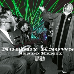 Nobody Knows - Sendō Remix (Pastor T.L. Barrett & the Youth For Christ Choir)