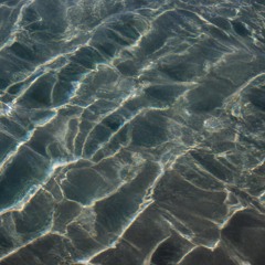 COASTLINE FEAT. MELUSI // ACOUSTIC VERSION