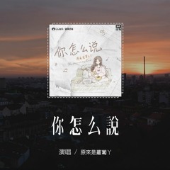 原来是萝卜丫 - 你怎么说 (弹唱版)(原唱：邓丽君)「证明你一切都是在骗我，看今天你怎么说」(4k Video)【動態歌詞/pīn yīn gē cí】#原来是萝卜丫 #你怎么说 #邓丽君 #動態歌