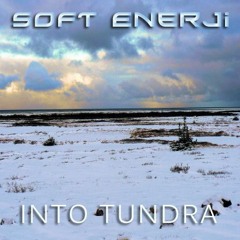 Into Tundra