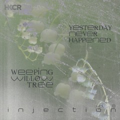 injection w yesterdayneverhappened x weepingwillowtree [2.13.24]
